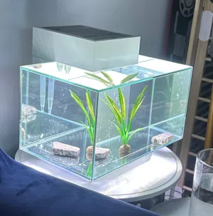 fluval edge 23 litre fish tank