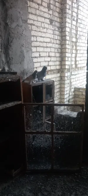 حمام للبيع في بعداد