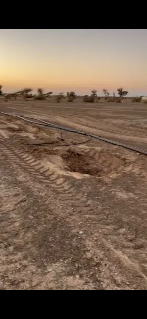 Farm Land for Rent in Al Sharqiya Al Mudaibi