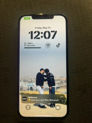 12 pro max