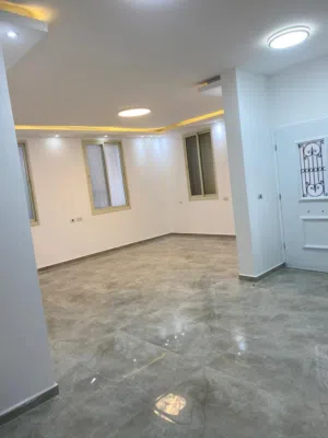 دهان وديكور