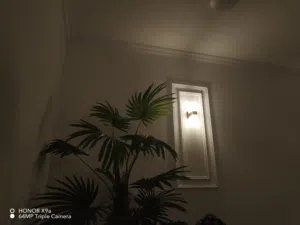 عباس سجاد سلمان 