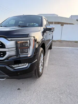 2022 Ford f150 platinum