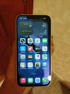 Apple iPhone 13 256 GB in Muscat