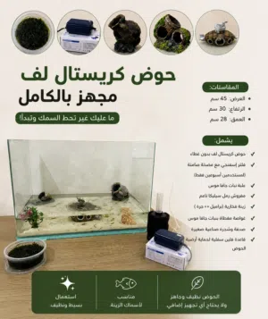 حوض كريستال اجنبي مجهز بالكامل