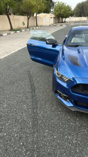 Ford mustang gt premium