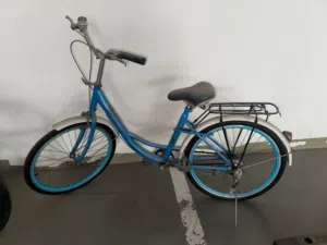 Female bicycle for sale