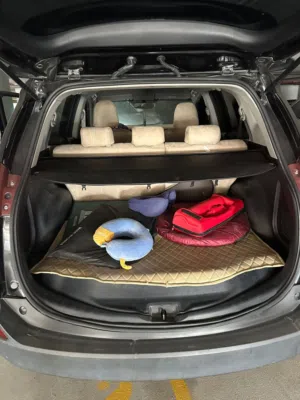2015 Rav 4