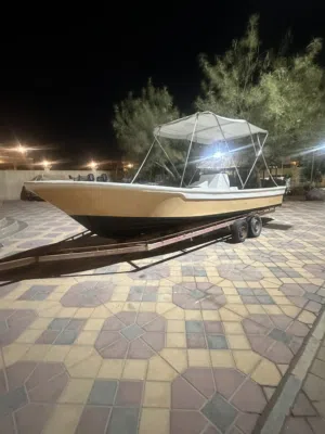 لاصحاب التميز قارب 25 قدم محدث بالكامل بسعر طيب