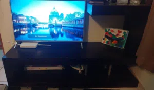 LG 42 inches with wooden Rack & Sound System