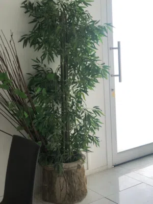 decorative tree