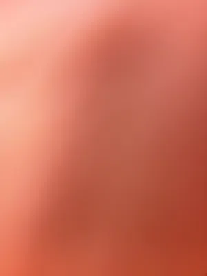 بحث عن شقه ايجار يومي