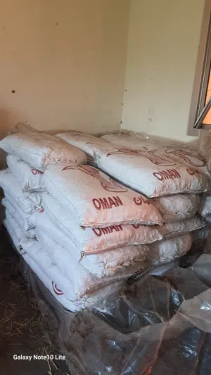 تمر نفيعه للبيع