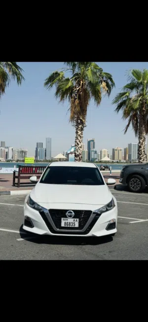 Used Nissan Altima in Sharjah