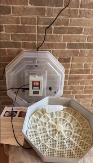 Pet Booths And Enclosures0