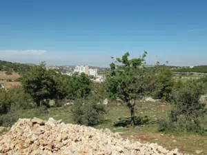 Mixed Use Land for Sale in Ajloun I'bbeen