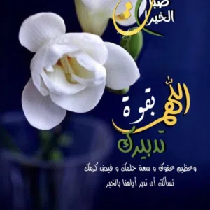 ابو غازي 