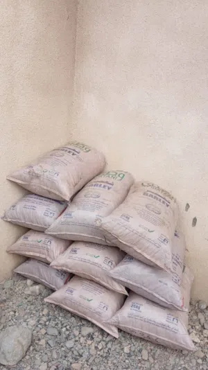 فحم سمر اصلي مضمون