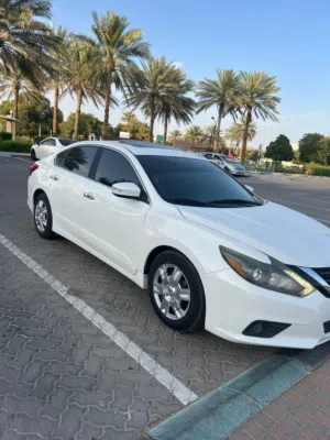 Used Nissan Altima in Al Ain