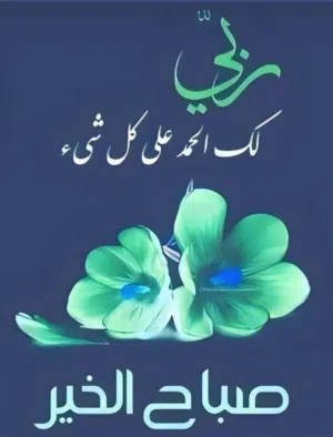 أشواق برعي الجاك أحمد 
