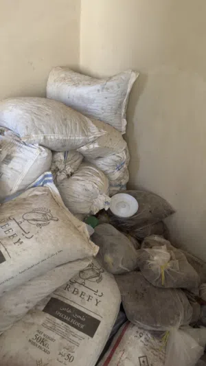 سح (نفيعه)