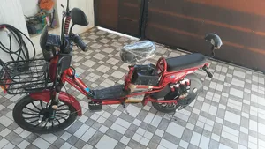 Electric Bicycles . Used1