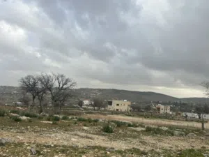 Farm Land for Sale in Zarqa Al-Alouk