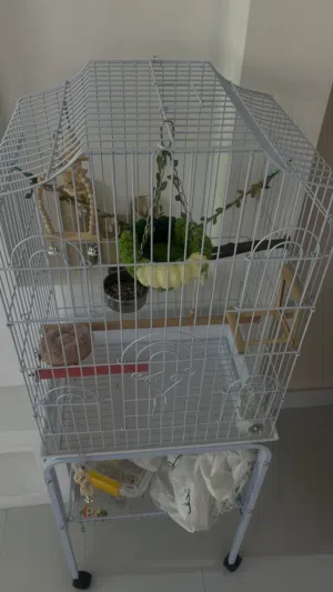 قفص طيور بجميع زينته و أغراضه