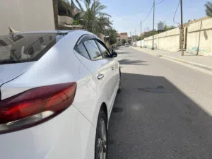 مراوس فقط بتيران