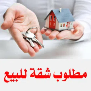 مطلوب شقه للبيع مدينة نصر جميع مساحات من المالك فقط