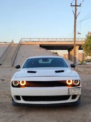 جالنجر 2018 sxt