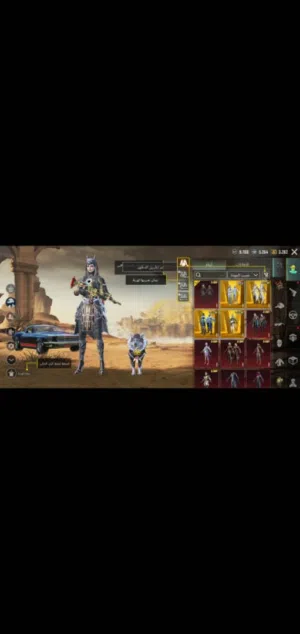 Pubg Accounts and Characters for Sale in Sana'a