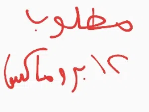 مطلوب 12 برو ماكس