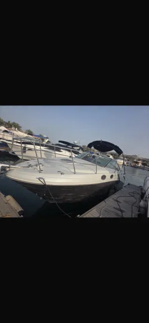 Sea ray for sale