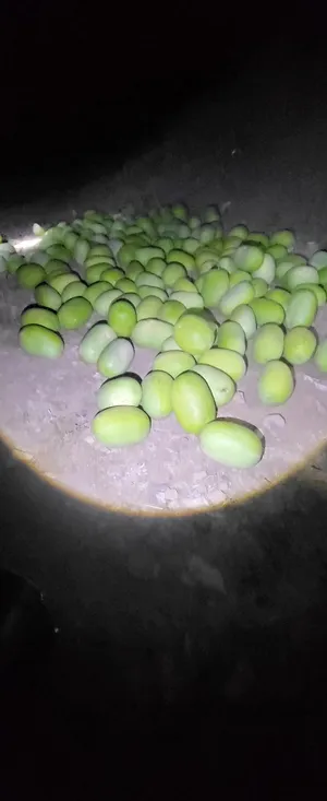 ‏خضار وفواكه‏2