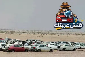محرك بحث العربات المفقودة - فتش عربيتك