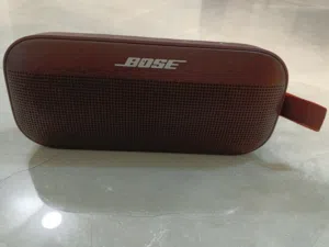 bose spiker