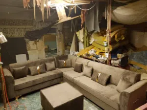 Brand new sofa design