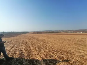 زراعية . 1550 م٢ . المالك0