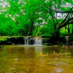 نوح الغساني 
