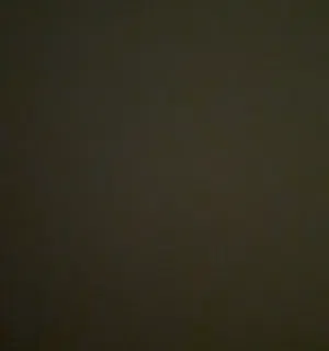 محمد 