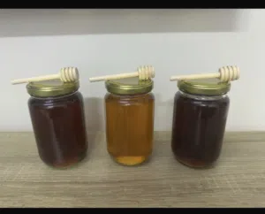 عسل طبيعي (سدر ،جبلي ،حمضيات )