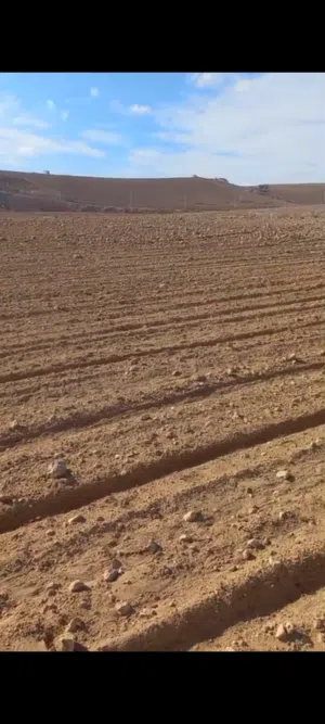 Industrial Land for Sale in Zarqa Al Zarqa Al Jadeedeh