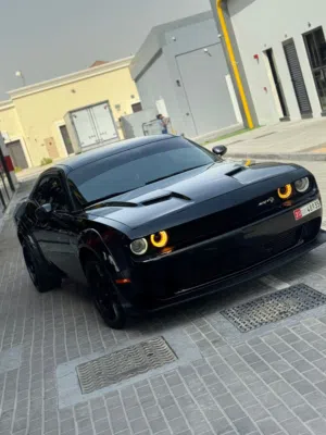 Used Dodge Challenger in Abu Dhabi