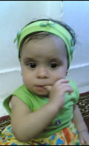 احمد حامد 