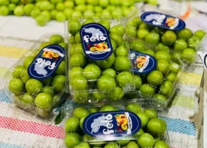 Selling and packaging various seasonal fruits in suggested packaging