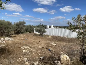 الاستخدام المتعدد . 400 م٢ . الوسيط3