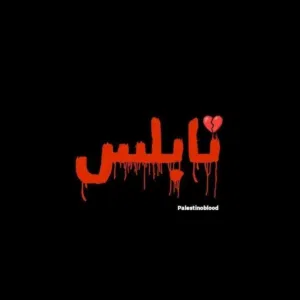 يامن عنبتاوي 