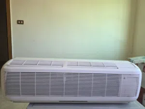 مكيف حامي بارد LG  1 طن