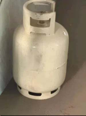 بنبلا جديدة
